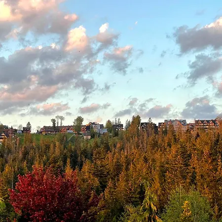 U Ani בית הארחה 3*