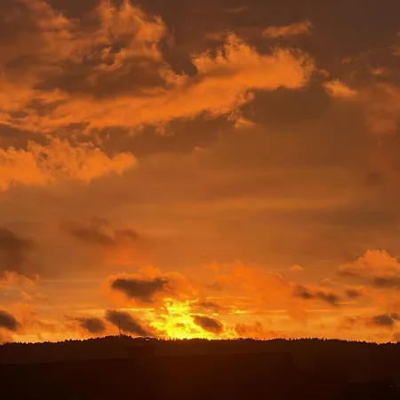 招待所 安妮旅馆 3*