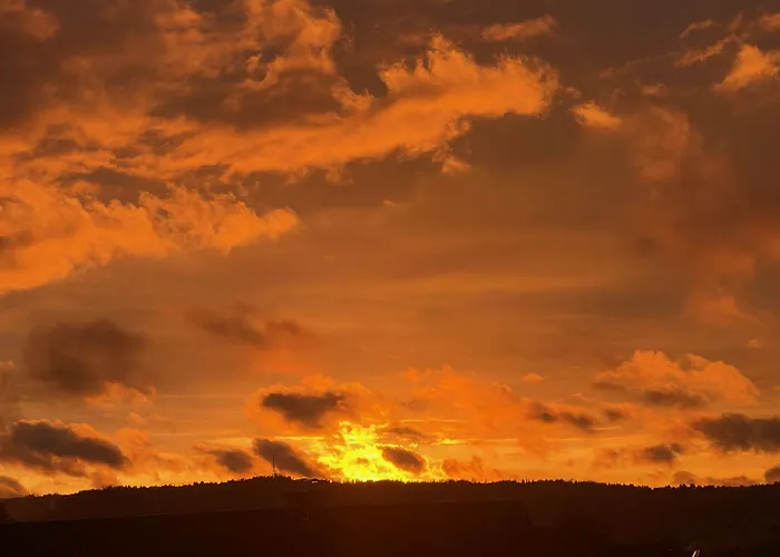 Guest house U Ani 3*